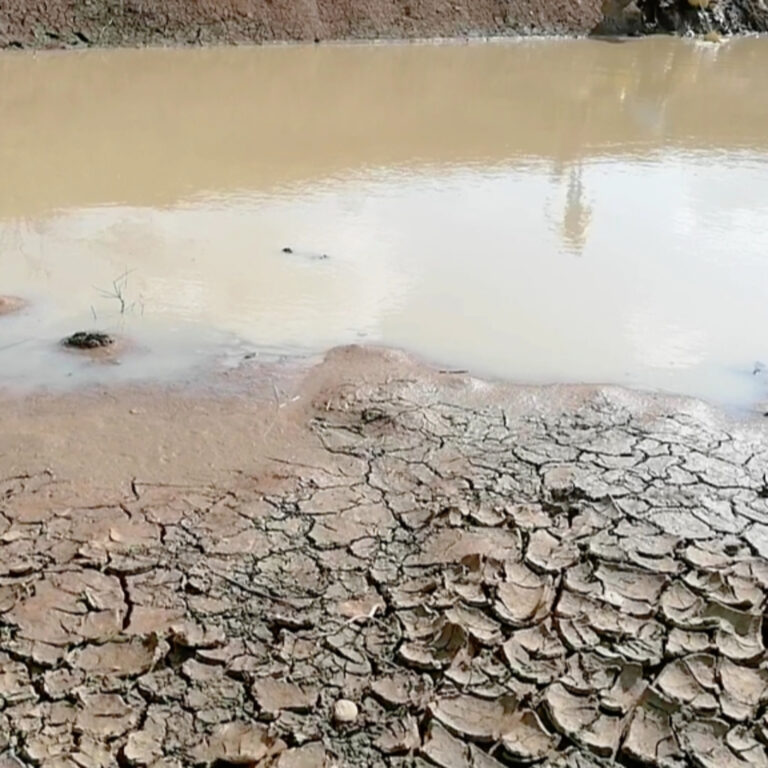 How Water Scarcity In Rabai, Kilifi County Affects Families Health and Economy